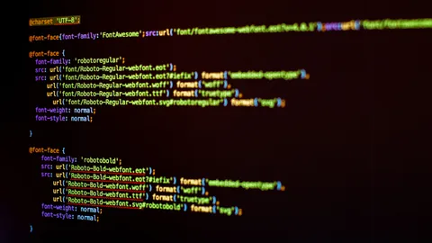Custom theme & plugin development