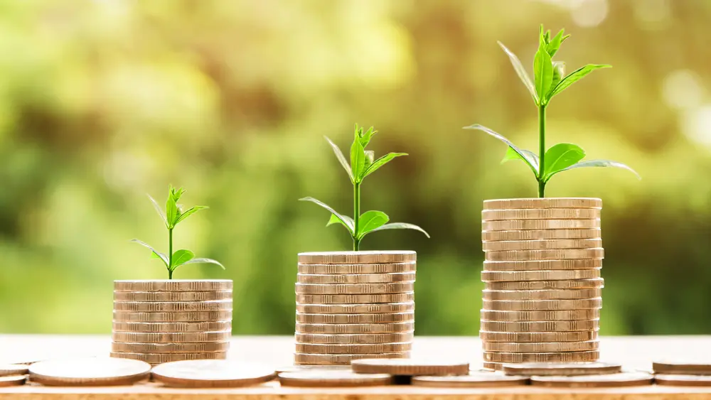 Increase your conversions and revenue